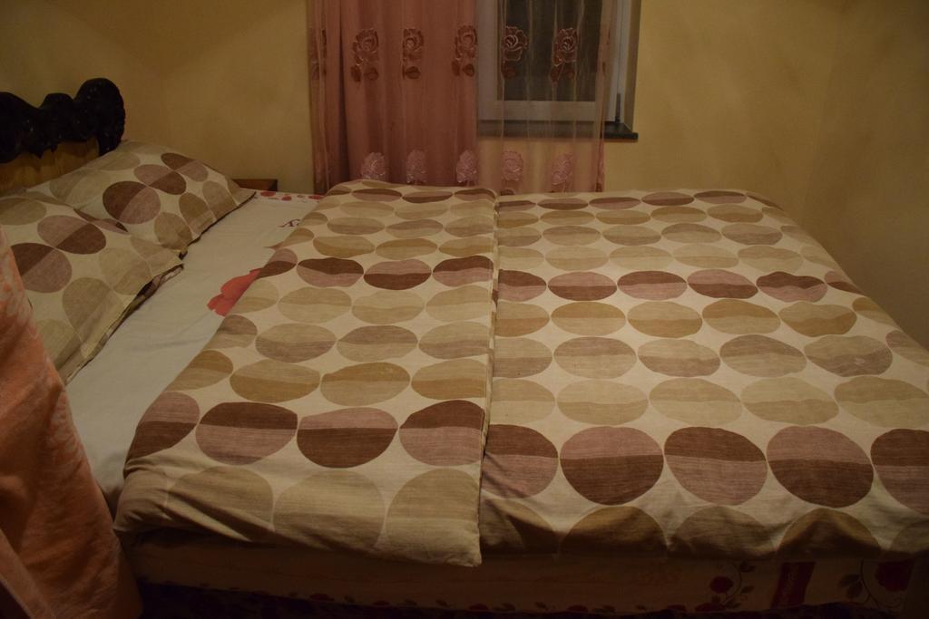 Medico And Suliko Guest House Kutaiszi Kültér fotó